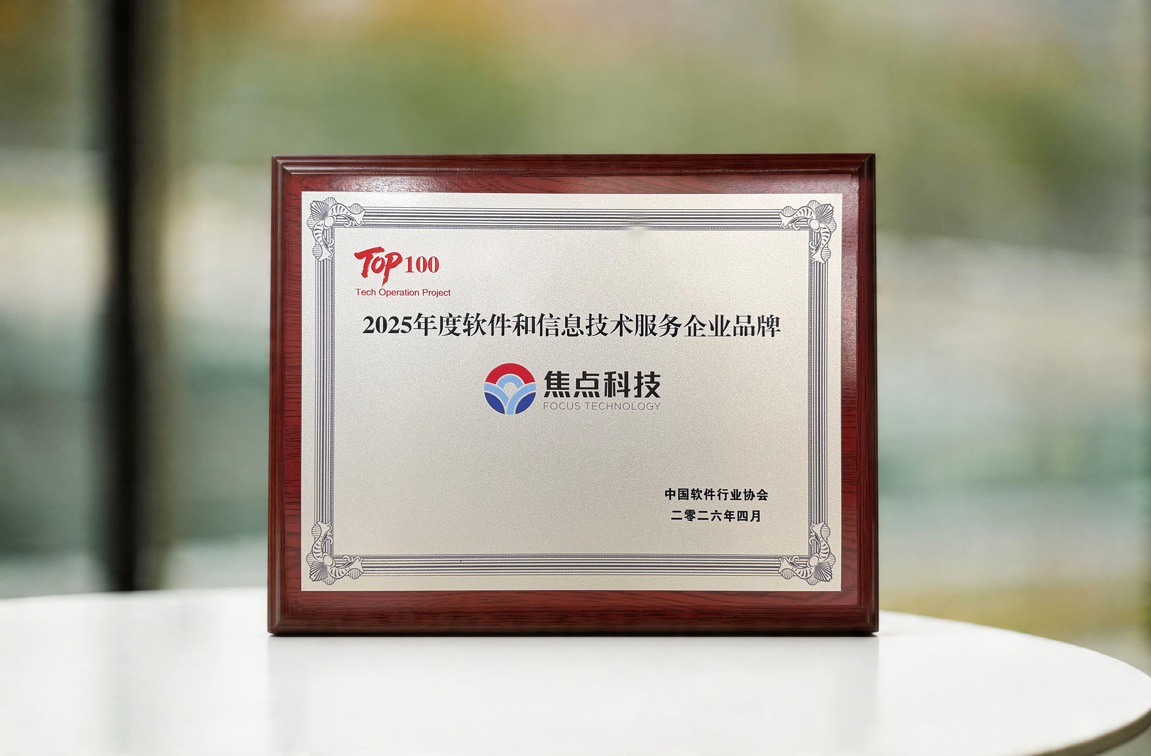 2025年度软件和信息技术服务企业品牌.jpg